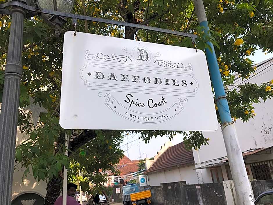 Daffodils Spice Court
