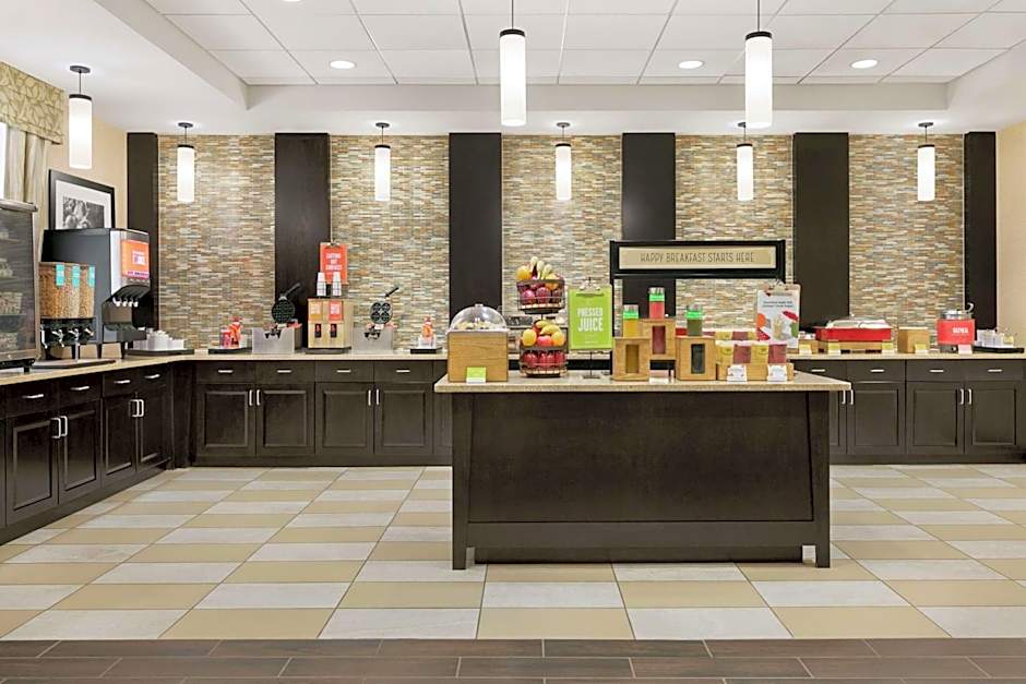Hampton Inn By Hilton Washington-Dulles International Airport South