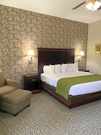 King Suite with Whirlpool - Non-smoking