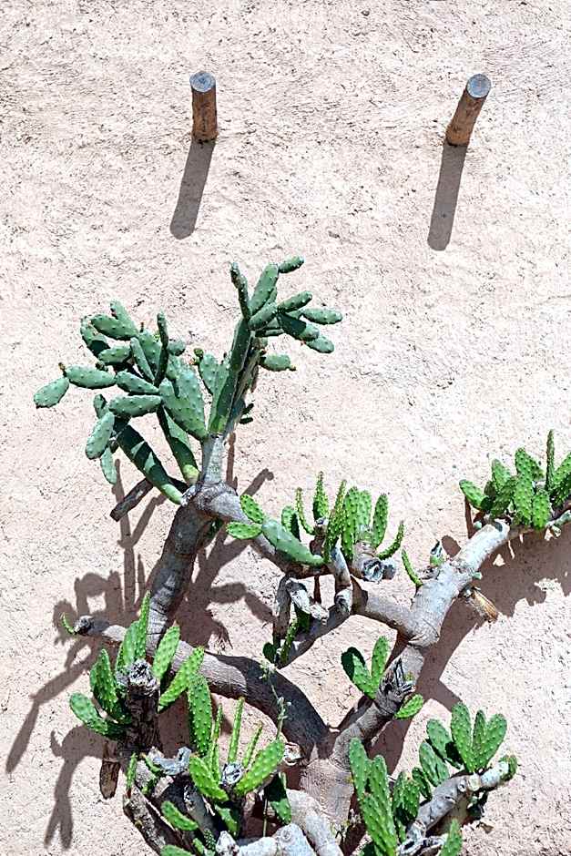 Le Petit Hôtel du Flouka