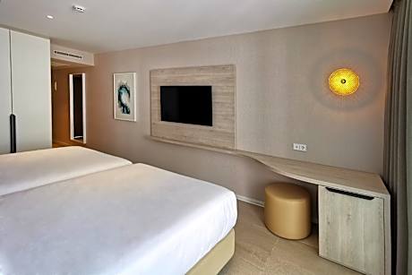 Double or Twin Room (3 adults + 1 child)