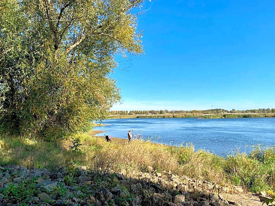 Viadrina Rooms & Apartments Frankfurt-Oder am Park im Zentrum