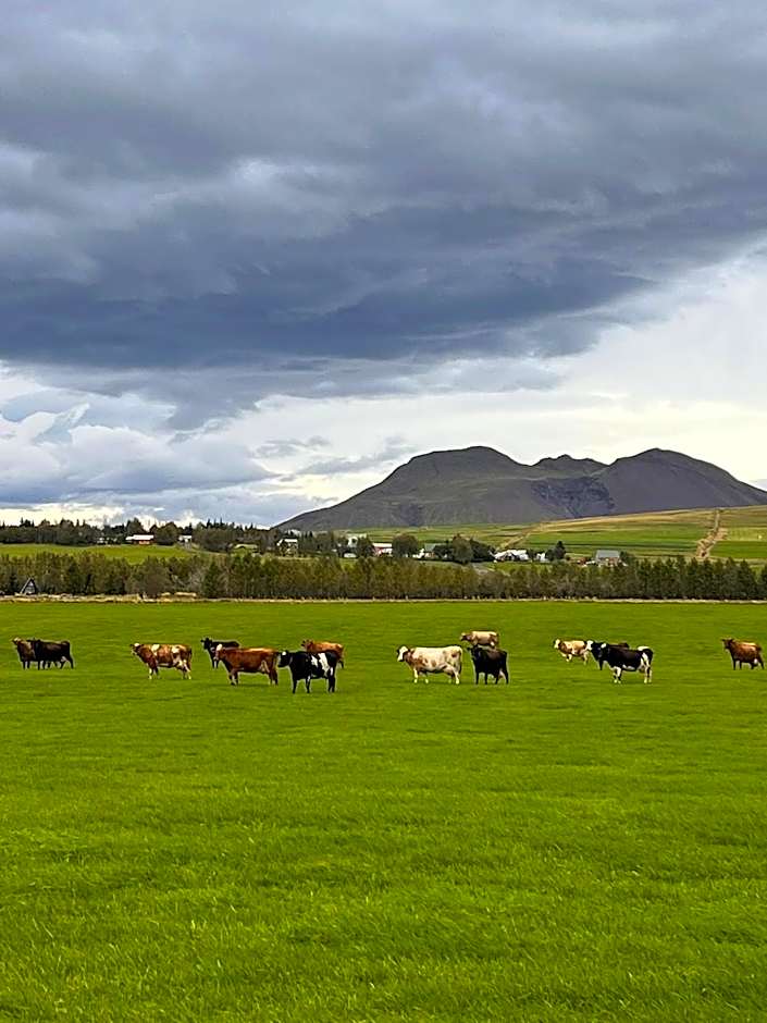Hótel Eyjafjallajökull