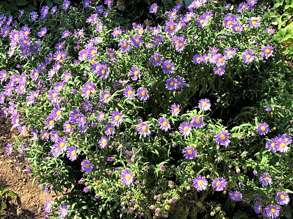 Chambres d'hotes Les Coustilles