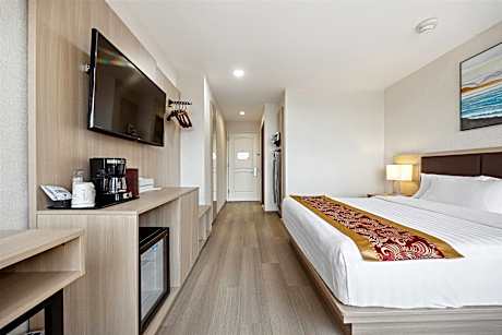 1 Queen Bed Mobility Accessible Room