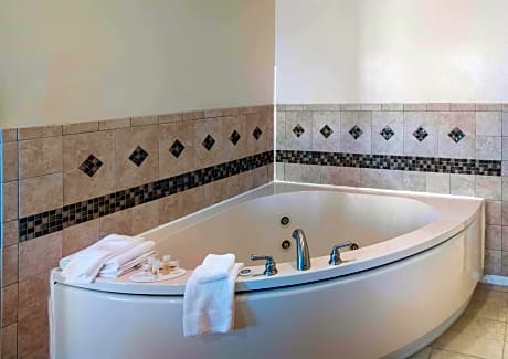 1 King Bed Suite Non-Smoking