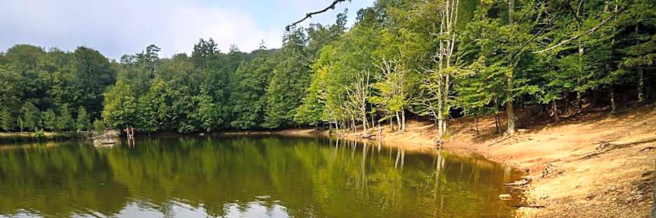 Albergo Villa Bianca