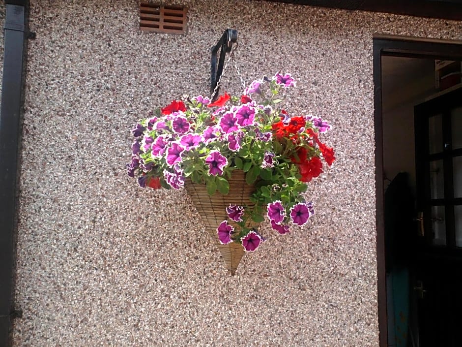 Lon y Traeth Bed & Breakfast