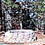 Robertson's Pigeon Forge Vacation Home