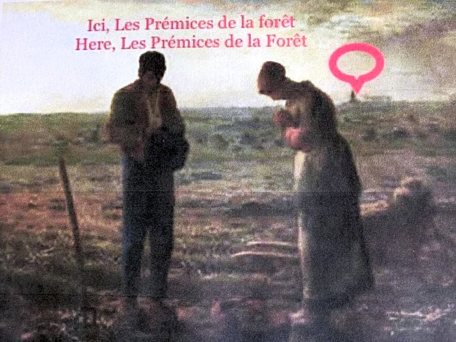 Les Prémices De La Forêt