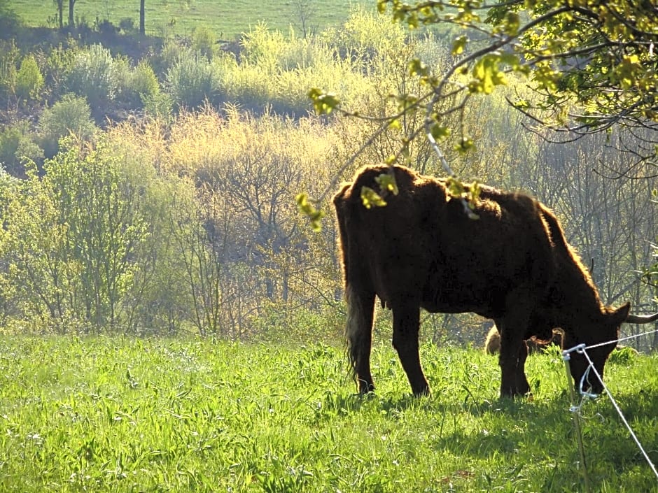 Chambres d'Hôtes Le Foursou