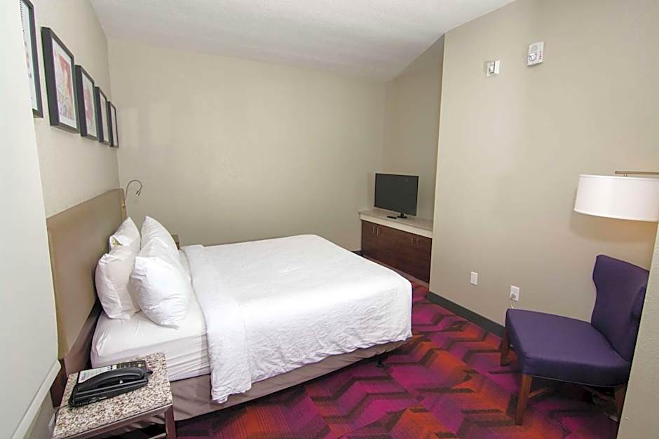 Hilton Garden Inn Tampa Suncoast Parkway