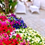 Araba Fenice Hotel