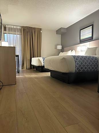 One Room Efficiency Suite with 2 Double Beds - Non Smoking