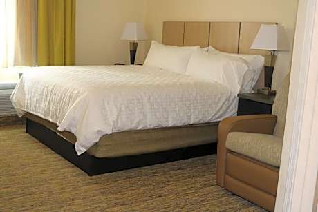One-Bedroom King Suite