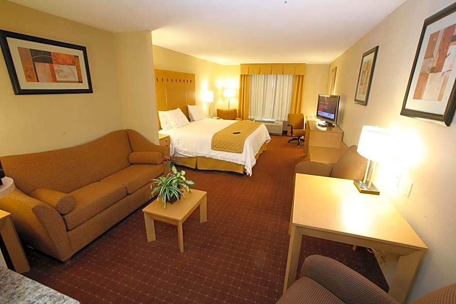 Photo 1 of 5 of 1 King Bed Suite