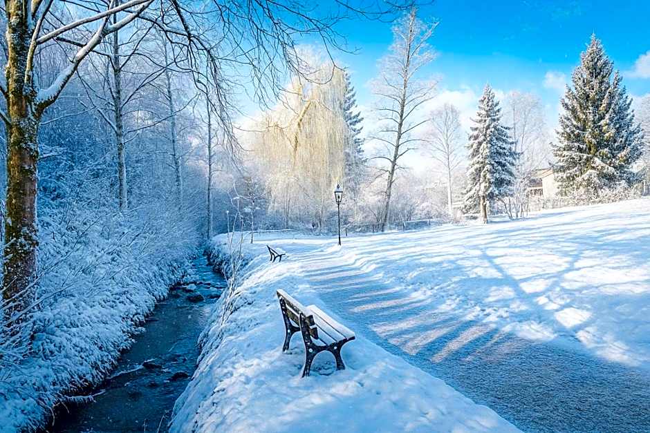 living TIMELESS - Adler Apartments Sasbachwalden