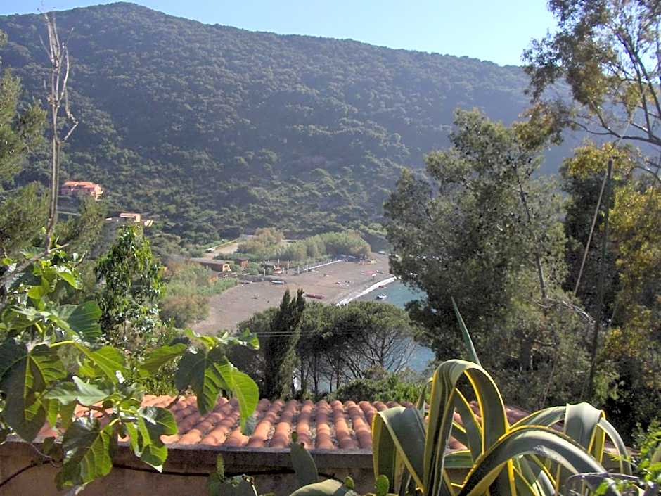 Cota Quinta