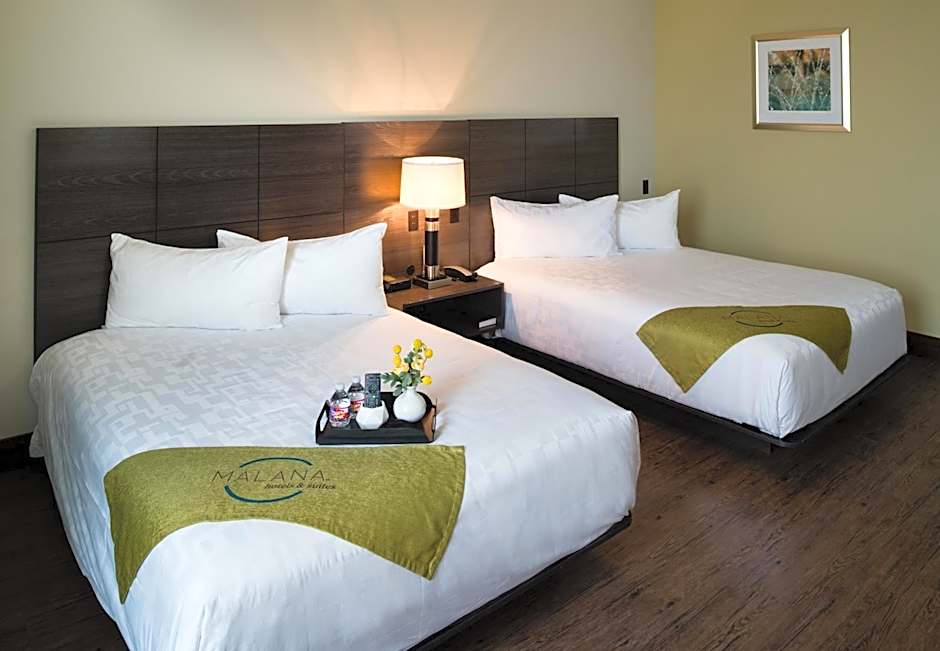 Malana Hotels & Suites