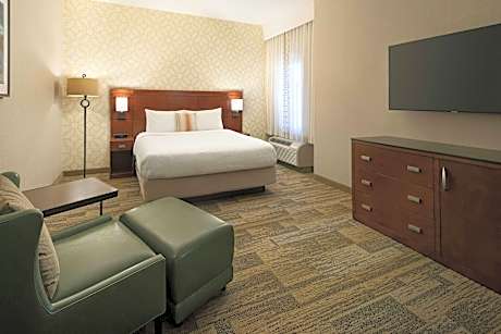 Suite, 1 King, Sofa bed