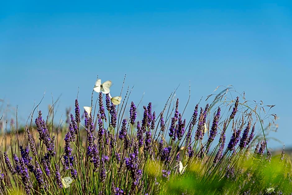 Borgo Alba Barona Turismo Rurale