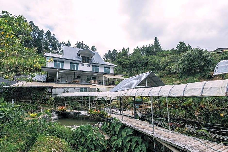Amazing Grace Lodge