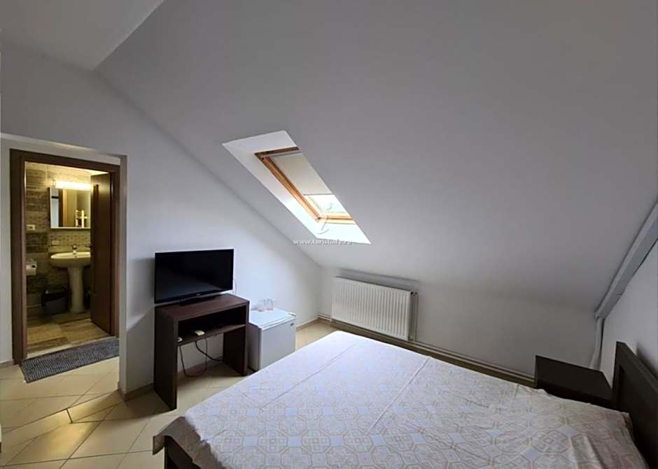 Vila Dini(La Rogojini)