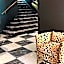 The Inn Hotel, Ascend Hotel Collection