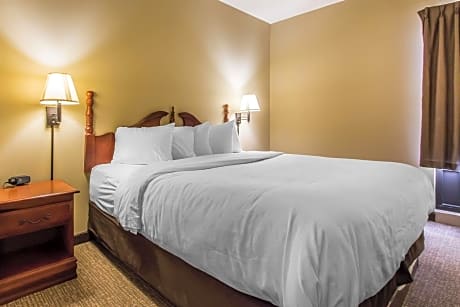 1 King Bed, Suite, Nonsmoking