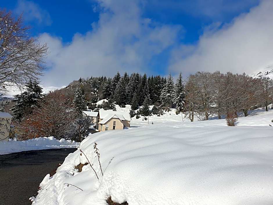 Peyranère