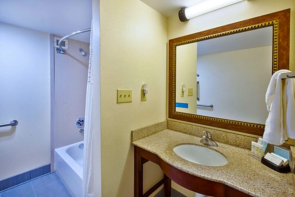 Hampton Inn Washington-Dulles International Airport South