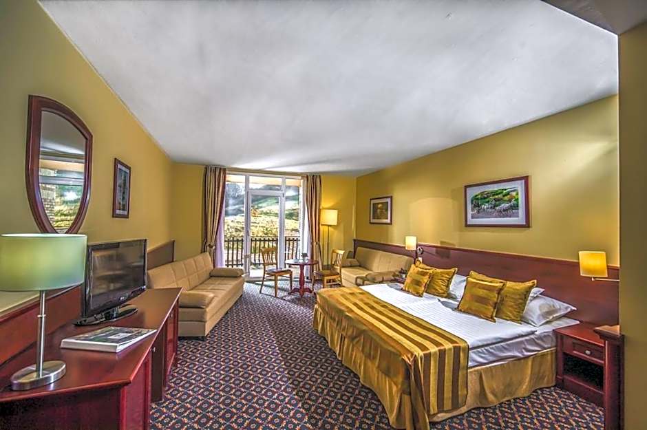 Hotel Kapitany Wellness