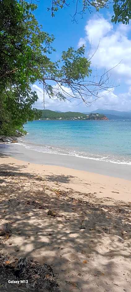 Studio de l'Anse Rouge Tartane