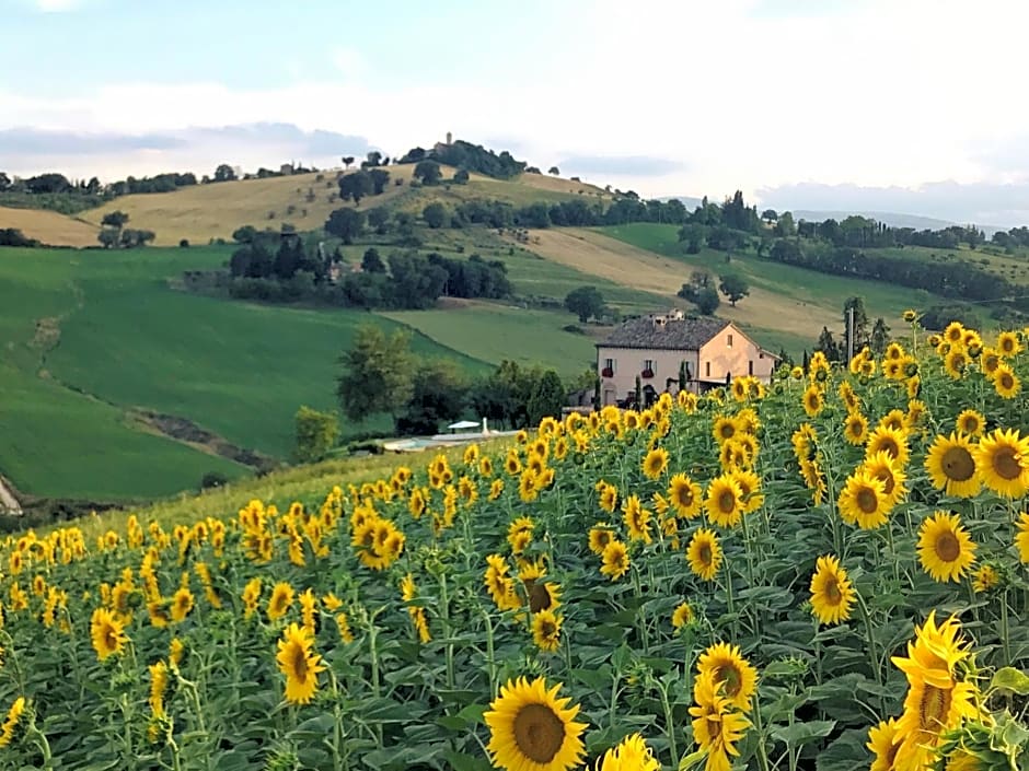 Casale delle Rondini