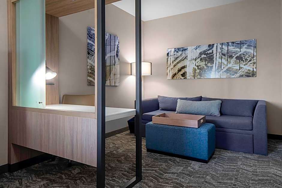 SpringHill Suites by Marriott Charlotte Huntersville