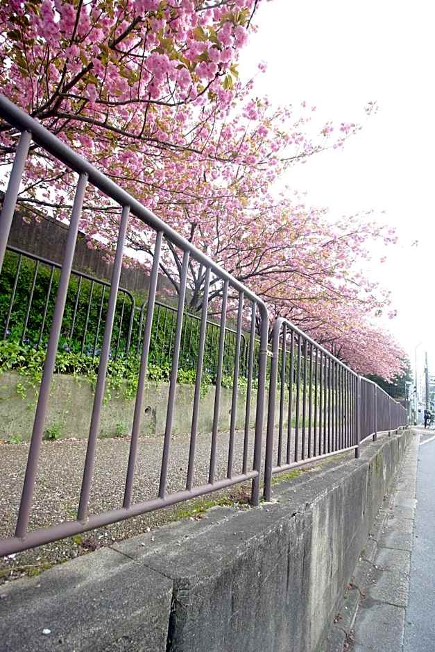 Kiyomori no Baika