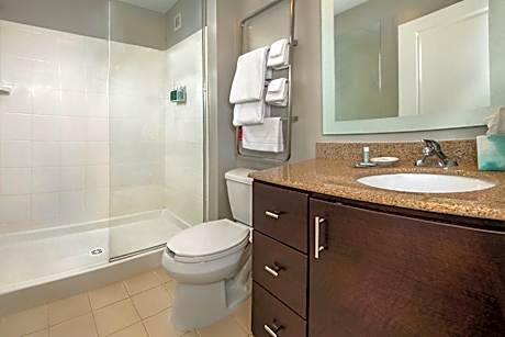 Studio, 1 King Bed with Sofa bed (1 King Bed and 1 Double Sofa Bed)