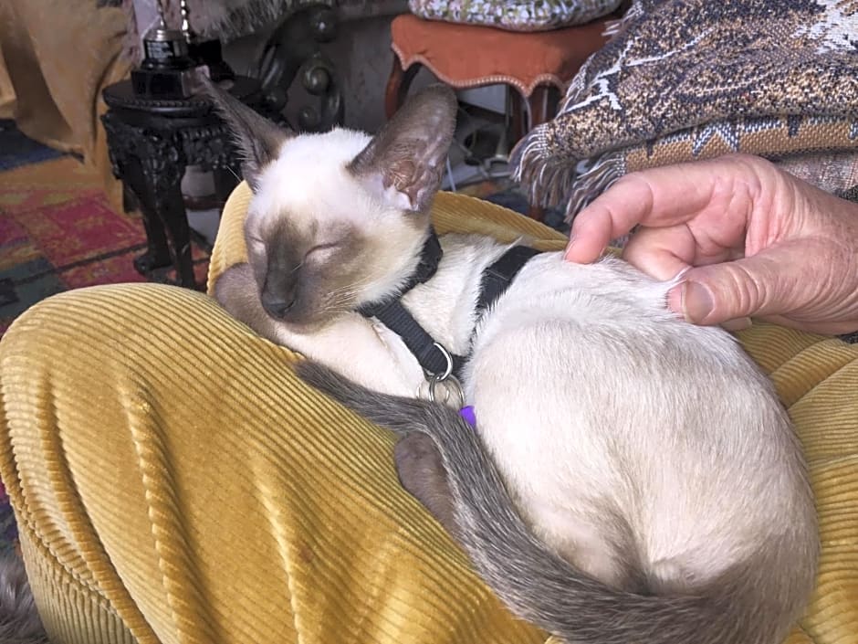 Chiswick Riviera with free parking