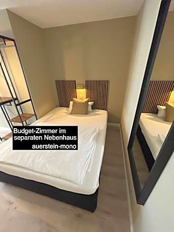 Budget Single Room (in Annex)