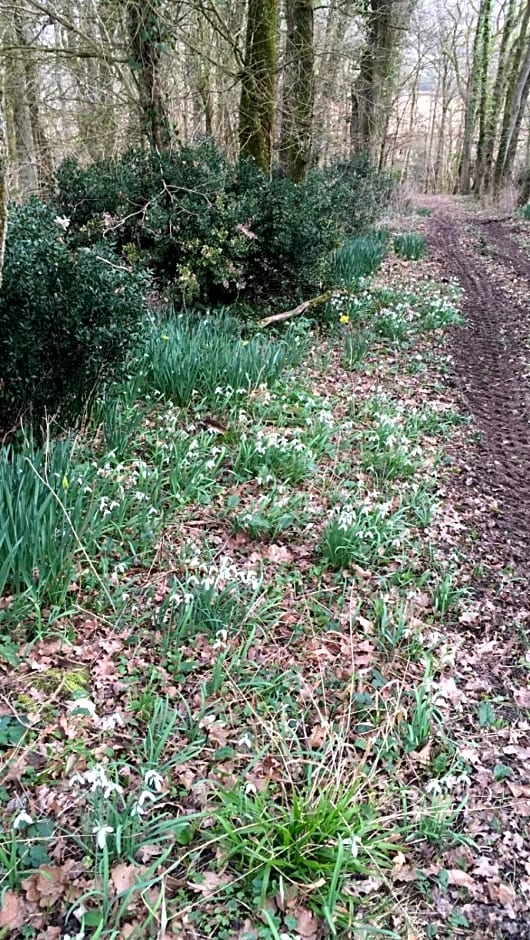 Manoir la Rumillette