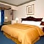 Comfort Suites Plainview