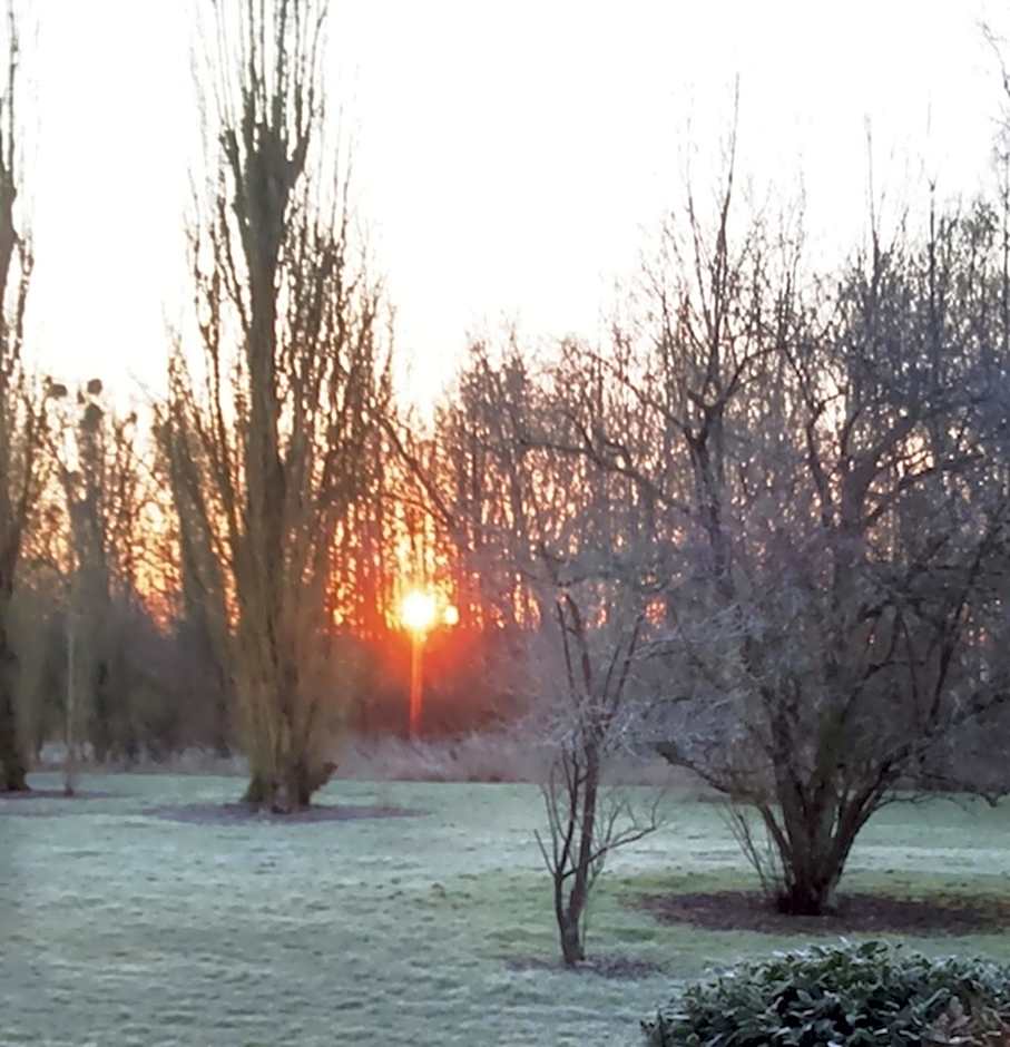 Chambres D'hôtes Du Domaine De Jacquelin