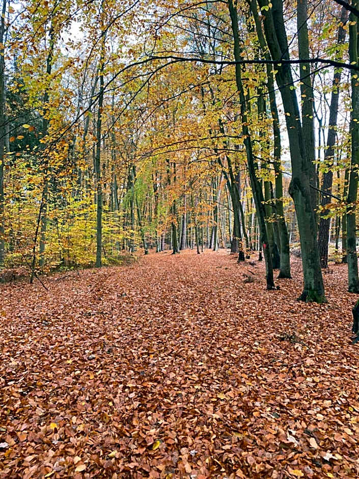 Apartament Jantarowe Zacisze Green