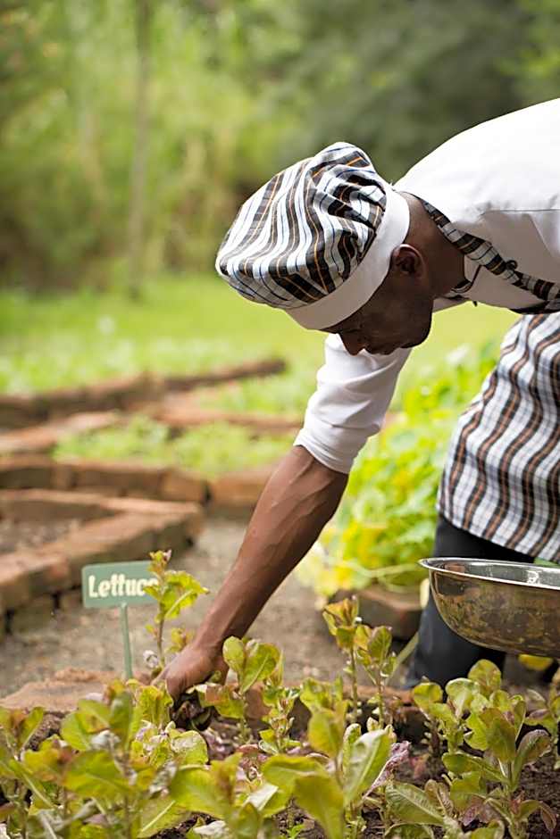 Rivertrees Country Inn