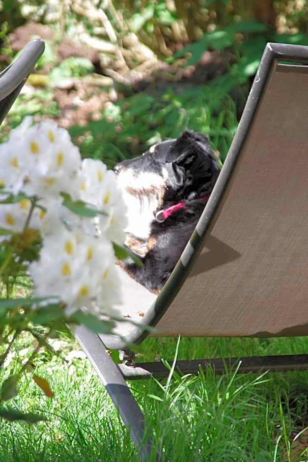 Chambres d'hôtes Au presbytère