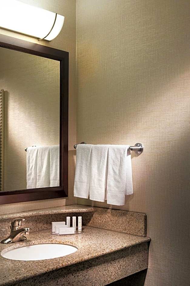 SpringHill Suites by Marriott Dallas DFW Airport North/Grapevine