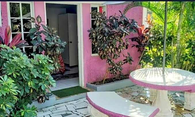 Pink Hibiscus Guest House