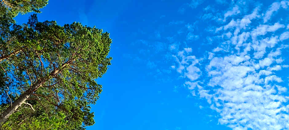 Dom Derbend na wyłączność