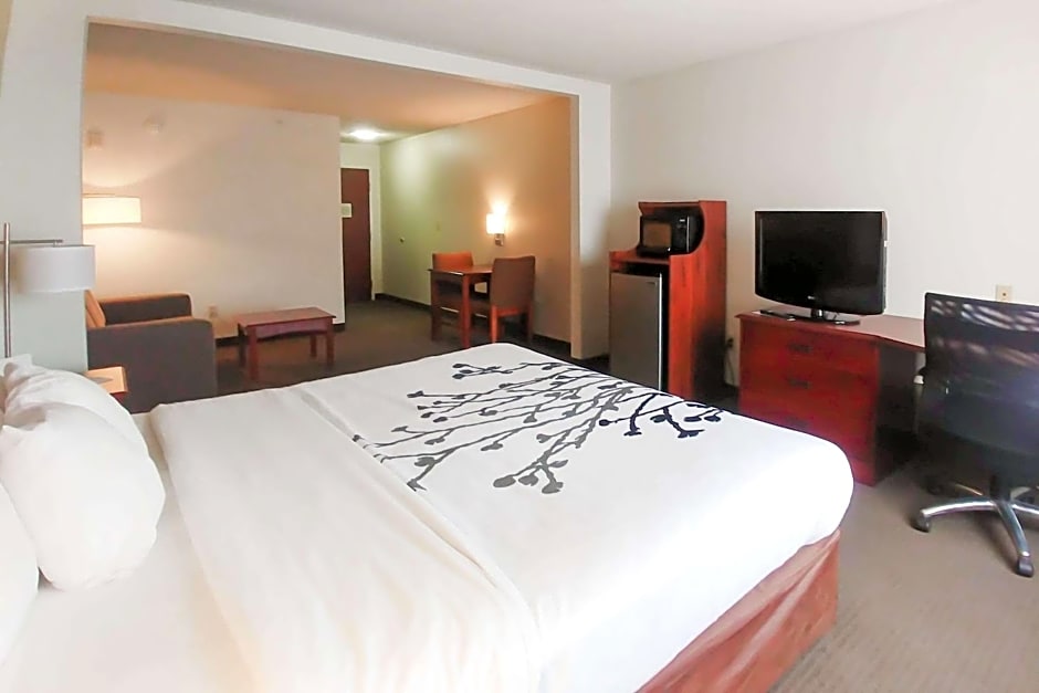 Wingate by Wyndham Dublin Near Claytor Lake State Park
