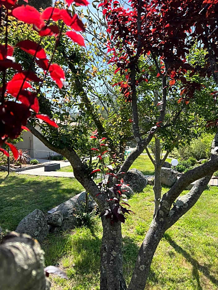 Hôtel les jardins de Sta Giulia avec piscine